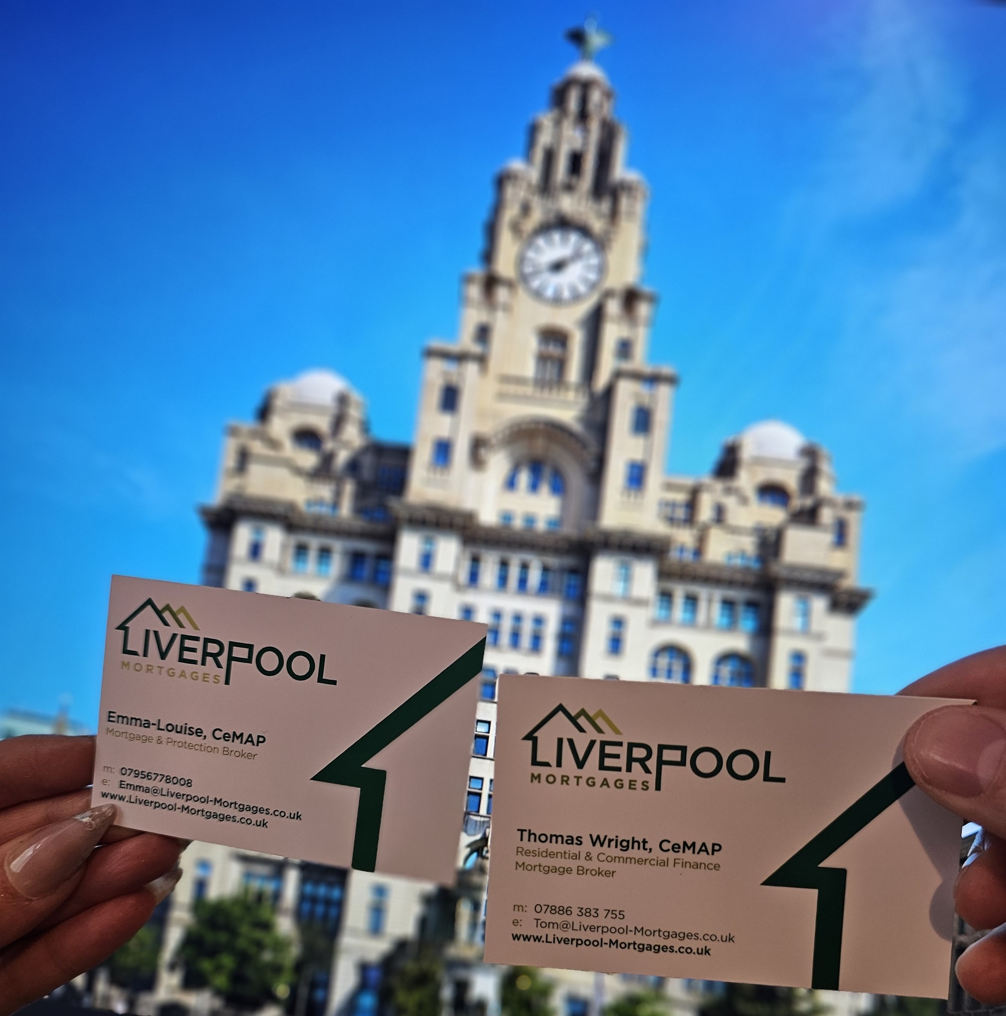 Business Cards Liver Building